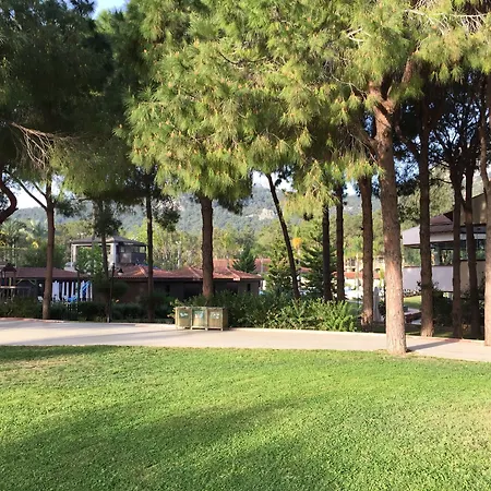 Champion Village Complex
